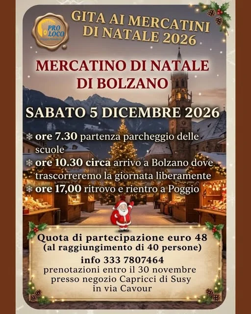 Gita ai mercatini di Natale di Bolzano